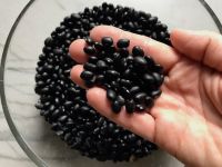 Direct Wholesale Good Quality Organic Black Beans Chinese Black Bean