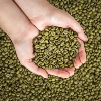 Origin Robusta Ground Coffee - Medium Roasted - Premium quality From South Africa