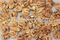 Walnut and Walnut Kernel cheap price