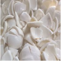 HOT 2023 FROZEN IQF COCONUT MEAT Made In South Africa Factory from HTK FOOD for Food & Beverage