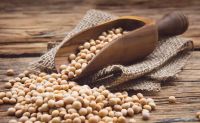 Sell Offer Soybeans