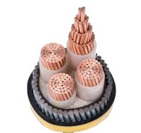 FEICHUN CABLE 0.6/1KV 16mm 35mm 120mm 240mm 300mm XLPE Insulated Steel Tape/Steel Wire Armoured Cables-2