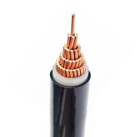 FEICHUN CABLE High-Voltage cable XLPE insulated 400mm PVC sheath 1 3 core copper conductor Power Cables