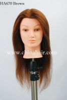 Sell Doris HA670 human hair mannequin head