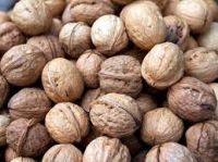 Wailitong Organic Bulk Nuts Wholesale Walnuts Unwashed Xinjiang Raw Bulk 185 Walnut In Shell Dry Fruits Walnuts Kernels For Sale