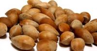 Quality Ginkgo Nuts For Sale