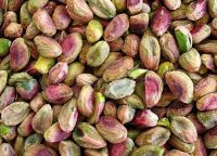 Pistachio Nuts Wholesale Sales Large Quantities Of Delicious Salt Roasted Pistachio Nuts Wholesale