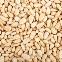 pine nuts OEM bulk Organic Healthy Snacks Pine seeds nuts