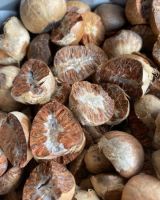 Betel Nut Brown Color Dried Best Selling 100 % Natural High Quality Premium Grade Of Betel Nut Supply