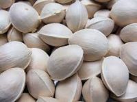 Cheap Price ginkgo Nuts Good Price For Sale