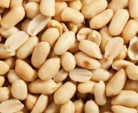 High grade Wholesale Natural Bulk Fresh Peanut peanuts for food