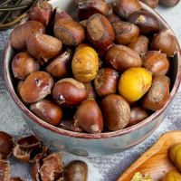 chestnuts snack roasted chestnut Fresh new chest nuts for sale