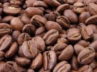 Coffee Green Beans 100% Robusta Sr13/Sr16/Sr18 0084339966582