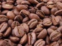 Hot Selling Vietnamese Premium Quality Coffee beans with Wholesale Arabica Green Coffee Beans