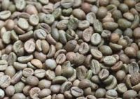 Great Price Oem High Quality Coffee 100% Organic Robusta Coffee Beans Roasted coffee Beans For Drinking