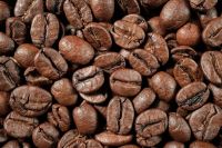 Supplier Best Selling Coffee Beans Raw Coffee Beans Wholesale Price High Quality Premium