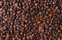 High quality arabica / robusta coffee bean Green Coffee Roasted Coffee beans for sale 2023 custom logo