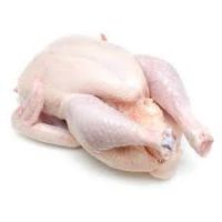 Premium Supplier Halal Frozen Whole Chicken Halal Chicken Processed Meat