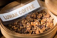 Luwak Coffee