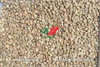 Robusta green coffee beans- Wet Polished/ Clean/ Natural quality