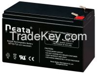 SLA battery and LiFePor4 battery manufacturer and expoter from China