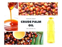 Agriculture >> Oils & Extracts >> Plant Oils >> Palm Oil