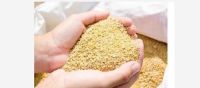 Sell Offer Soybean Meal