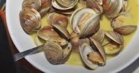 Cedar Key Clams