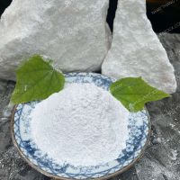 Vietnam Calcium Carbonate Powder CaCO3