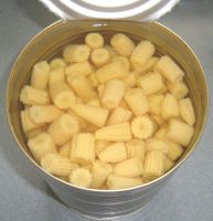 Canned Baby Corn Cut in Brine