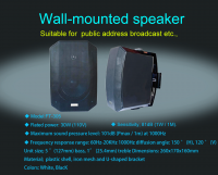 wall-mounted speaker FT-305