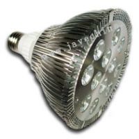 PAR38 12W LED Spotlight