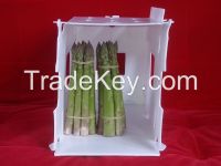 sell fresh green asparagus