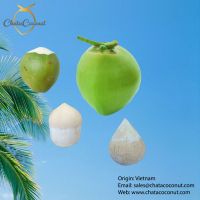 Green shell diamond coconut