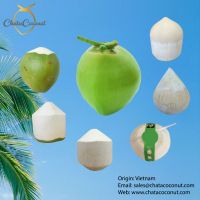 Fresh Young Coconut