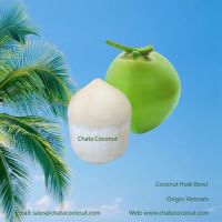 Bald coconut