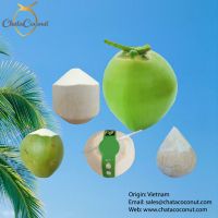 Fresh Coconut Suppliers