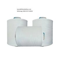 High Tenacity 600D-3000D Polyester Filament Yarn White Fdy Polyester Yarn