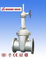 big dimension gate valve/valves