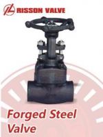 Forged steel gate/globe valve/valves