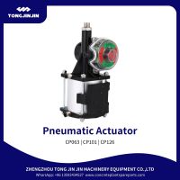 CP063 CP101 CP126 pneumatic actuator for butterfly valve
