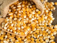 Sell Yellow Corn