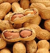 Groundnuts