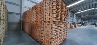 High-Quality and Durable Pallets: The Ideal Solution for Your Export and Import Needs!