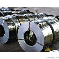 Selling Steel Coil