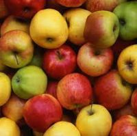 Selling Fresh Apple in wholesale price