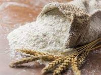 Wheat Flour for sale