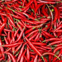 Red chili