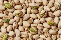 Dried Pistachio in cheap price