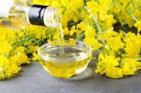 Rapeseed Oil in cheap Price